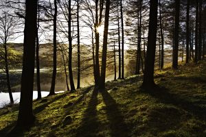 ladybower Res 55.jpg